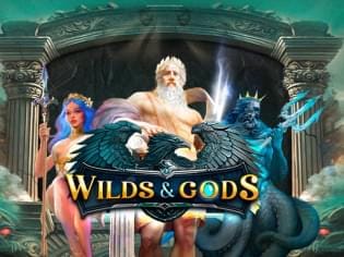 Wilds & Gods screenshot